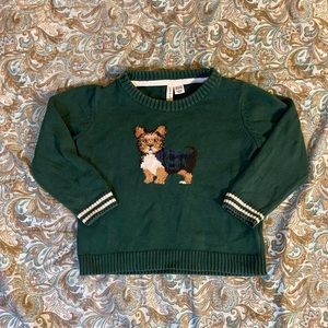 Cotton terrier sweater